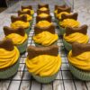 Pupcakes with dog friendly icing